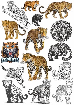 Diverse Stylized Jaguar and Leopard Vector Illustrations Free Vector