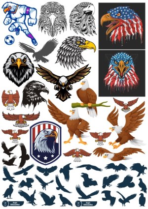 Collection of Eagle Illustrations and Silhouettes Free Vector