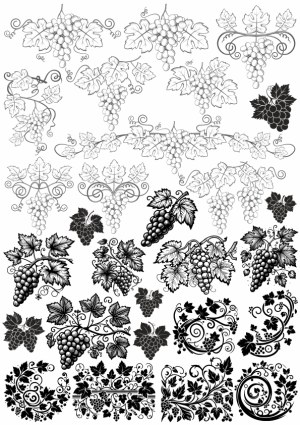 Grapevine Vector Elements and Decorative Grape Cluster Designs Free Vector