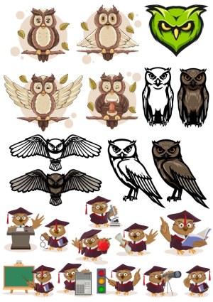Collection of Owl Vector Illustrations in Various Styles and Poses Free Vector