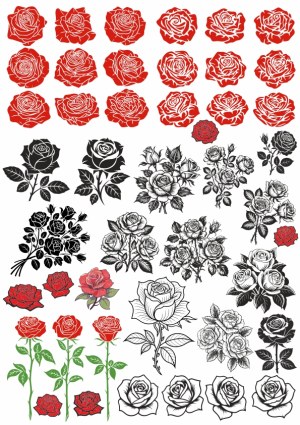 Variety of Red and Black Rose Vector Illustrations Free Vector