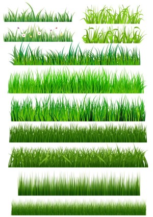 Set of Various Green Grass Vector Borders and Edges Free Vector