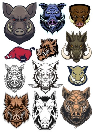 Collection of Wild Boar and Warthog Vector Head Illustrations Free Vector