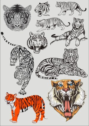 Collection of Detailed Tiger Vector Illustrations and Tribal Designs Free Vector