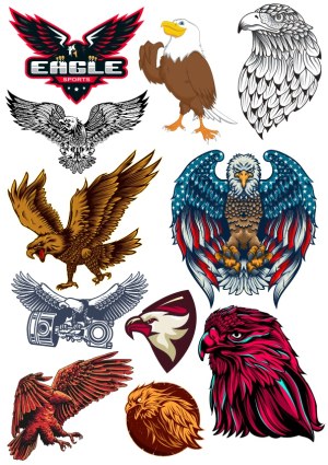 Collection of Stylized Eagle Vector Illustrations and Logos Free Vector