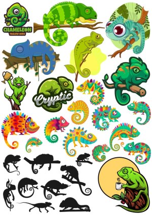 Colorful Chameleon Vector Set with Silhouettes and Cartoon Styles Free Vector