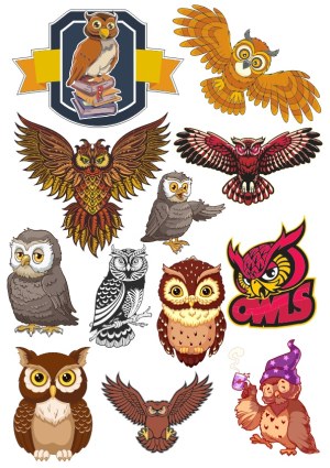 Collection of Cartoon and Stylized Owl Vector Illustrations Free Vector