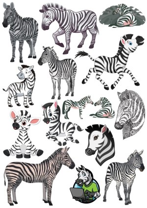 Collection of Zebra Vector Illustrations and Cartoon Characters Free Vector