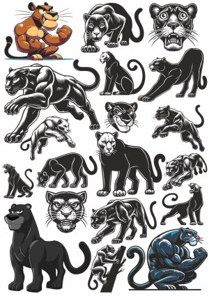 Panther and Black Panther Vector Illustrations Collection Free Vector