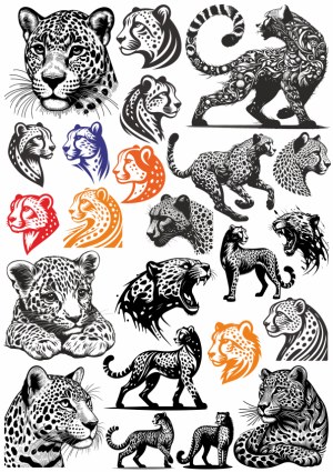 Collection of Leopard and Cheetah Vector Illustrations Free Vector