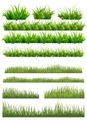 Vector Set of Various Green Grass and Leaf Clumps Free Vector