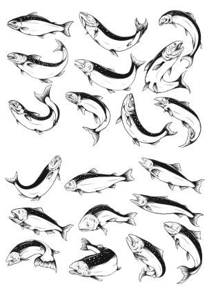 Hand-Drawn Trout Fish Vector Collection Free Vector