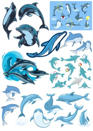 Assorted Cute and Playful Dolphin Vector Illustrations Free Vector