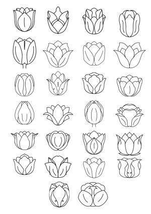 Set of 25 Black Outline Tulip Flower Icons Free Vector