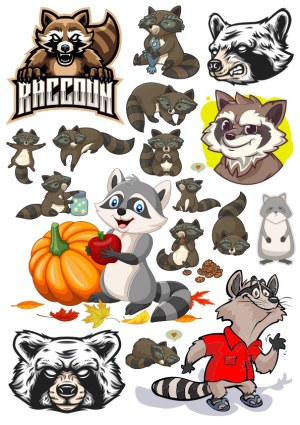Collection of Cute and Cartoon Raccoon Vector Illustrations Free Vector