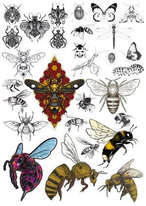Detailed Vector Collection of Bees, Wasps, Butterflies, and Other Insects Free Vector