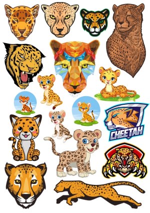 Cheetah and Leopard Vector Illustrations Collection Free Vector