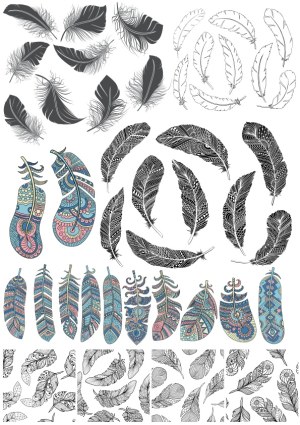 Decorative Feather Vector Set in Various Styles Free Vector