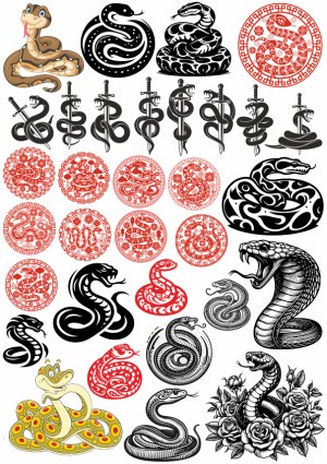 Variety of Snake Vector Illustrations and Designs Free Vector