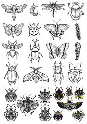 Detailed Black and White and Color Tribal Style Insect Vector Collection Free Vector