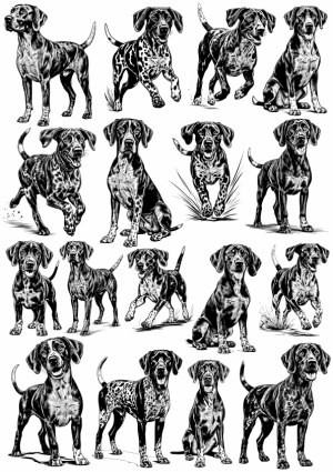 Set of Black and White Vector Illustrations of Dogs in Different Poses Free Vector