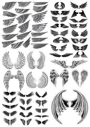Collection of Various Vector Wing Designs Free Vector