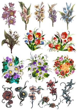 Assorted Colorful Floral Vector Illustrations Free Vector