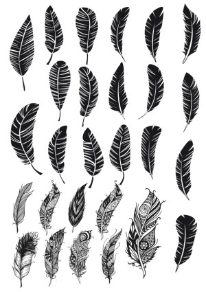 Collection of Black and White Stylized Feather Vectors Free Vector