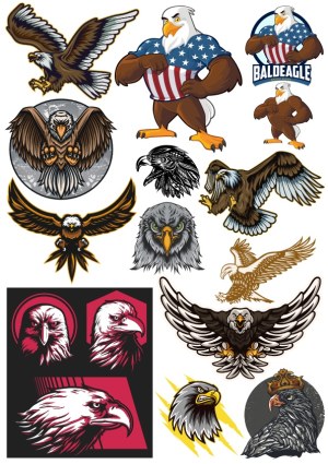 Collection of Diverse Bald Eagle Vector Illustrations and Logos Free Vector