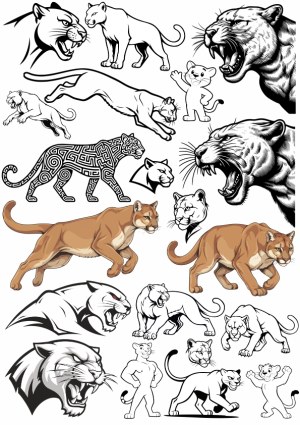 Collection of Cougar and Mountain Lion Vector Illustrations Free Vector