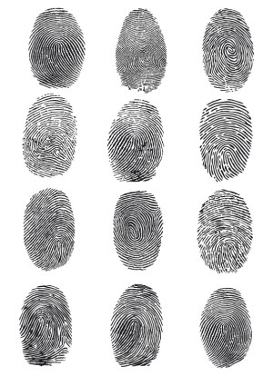 Set of Twelve Unique Black Fingerprint Vectors Free Vector