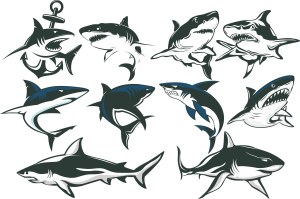 Set of Aggressive Shark Vector Illustrations Free Vector