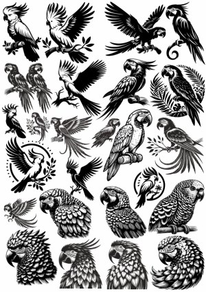 Black and White Vector Illustrations of Various Parrots and Cockatoos Free Vector