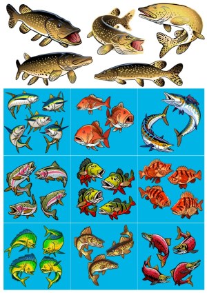 Collection of Colorful Vector Fish Illustrations Free Vector