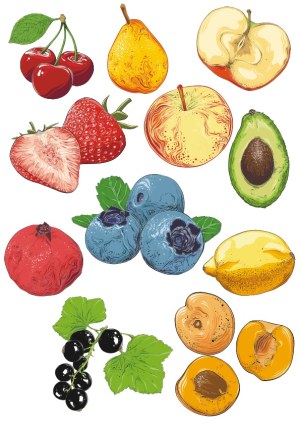 Vector Collection of Fresh Fruits Including Cherries, Pear, Strawberries, Apple, Avocado, Blueberries, Lemon, Pomegranate, Black Currants, and Apricots Free Vector