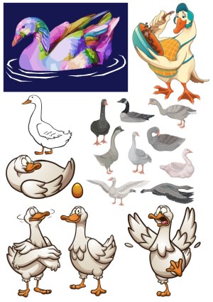 Collection of Vector Goose Illustrations and Cartoon Characters Free Vector