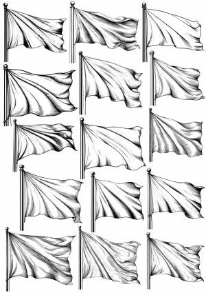 Set of 15 Detailed Black and White Flag Illustrations Free Vector