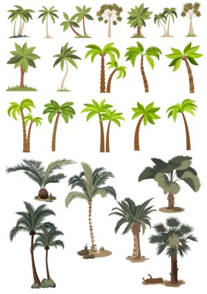 Collection of Various Palm Tree Vector Illustrations Free Vector