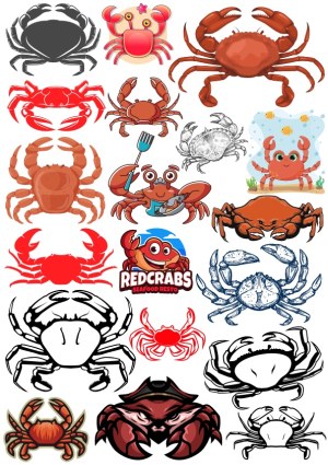 Various Crab Vector Illustrations and Logos Free Vector