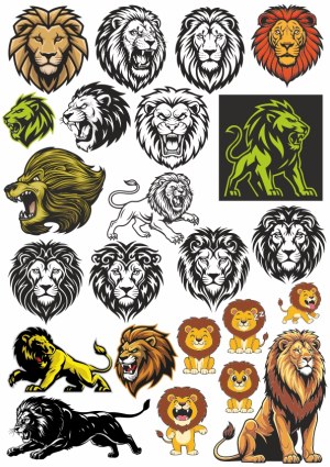 Collection of Lion Head and Full Body Vector Illustrations Free Vector