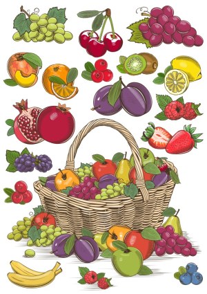 Hand-Drawn Basket and Assorted Fruits Vector Collection Free Vector