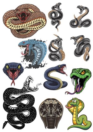 Collection of Various Artistic Snake and Cobra Vector Illustrations Free Vector