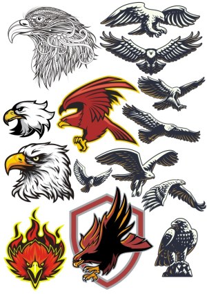 Assorted Eagle and Hawk Vector Illustrations Free Vector