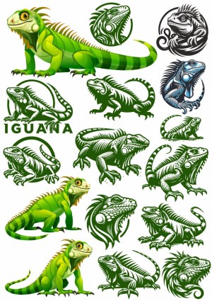 Iguana Vector Illustration Collection Free Vector