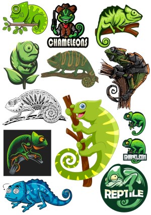 Chameleon Vector Illustrations Collection Free Vector