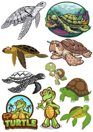 Collection of Various Turtle and Tortoise Vector Illustrations Free Vector