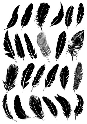 Black and White Feather Silhouettes Vector Set Free Vector