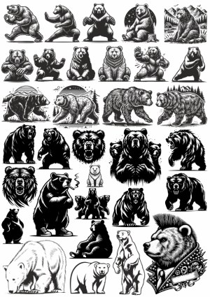 Collection of Detailed Bear Illustrations and Silhouettes Free Vector