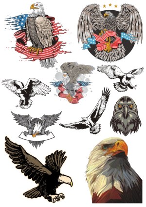 American Bald Eagle Vector Collection with Stars and Flag Elements Free Vector