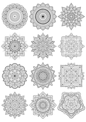 Set of 12 Detailed Black and White Mandala Vector Designs Free Vector